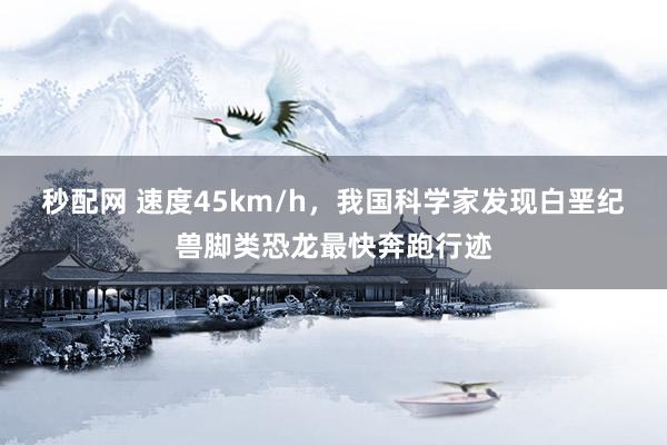秒配网 速度45km/h，我国科学家发现白垩纪兽脚类恐龙最快奔跑行迹