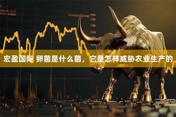 宏盈国际 卵菌是什么菌，它是怎样威胁农业生产的