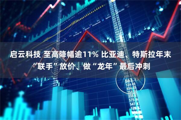 启云科技 至高降幅逾11% 比亚迪、特斯拉年末“联手”放价、做“龙年”最后冲刺