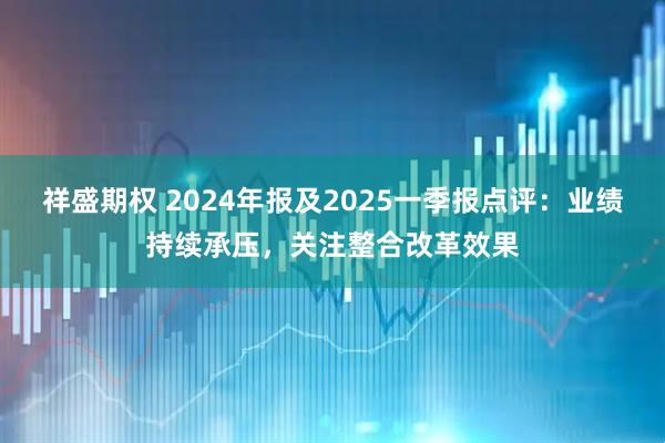 祥盛期权 2024年报及2025一季报点评：业绩持续承压，关注整合改革效果