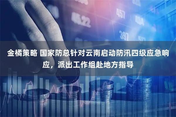 金橘策略 国家防总针对云南启动防汛四级应急响应，派出工作组赴地方指导