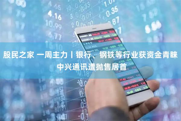 股民之家 一周主力丨银行、钢铁等行业获资金青睐 中兴通讯遭抛售居首